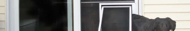 A black dog standing in front of a window with an in-screen pet door.