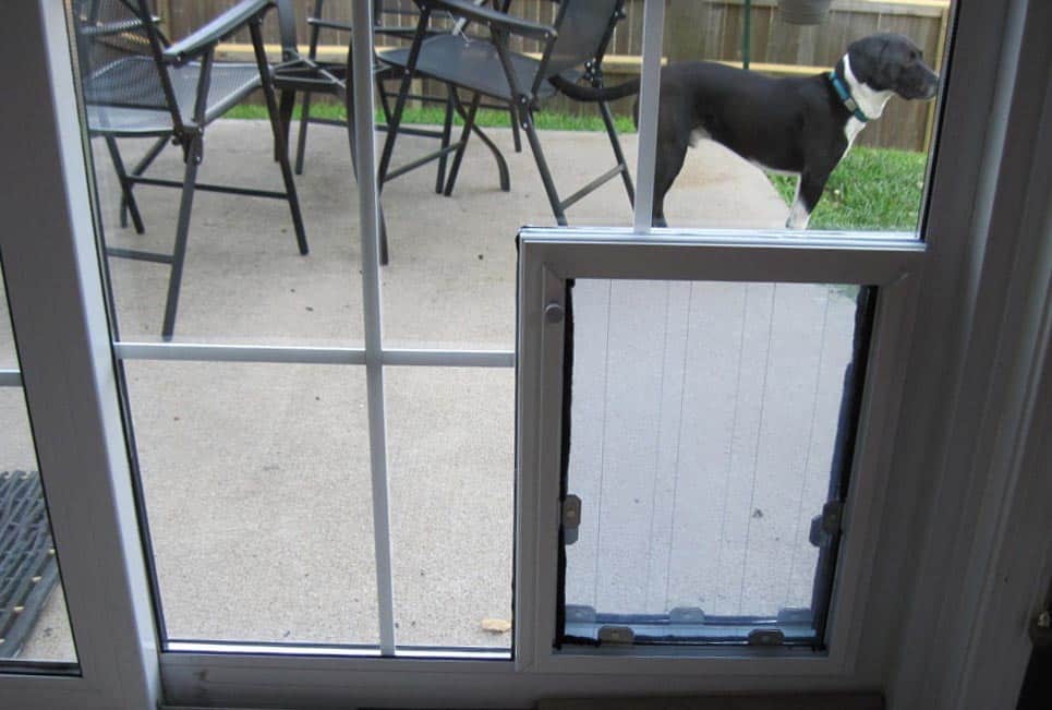 In Door Pet Doors Door With Dog Door Installed Near You The Glass Guru in-door-pet-doors-door-with-dog-door-installed-near-you-the-glass-guru
