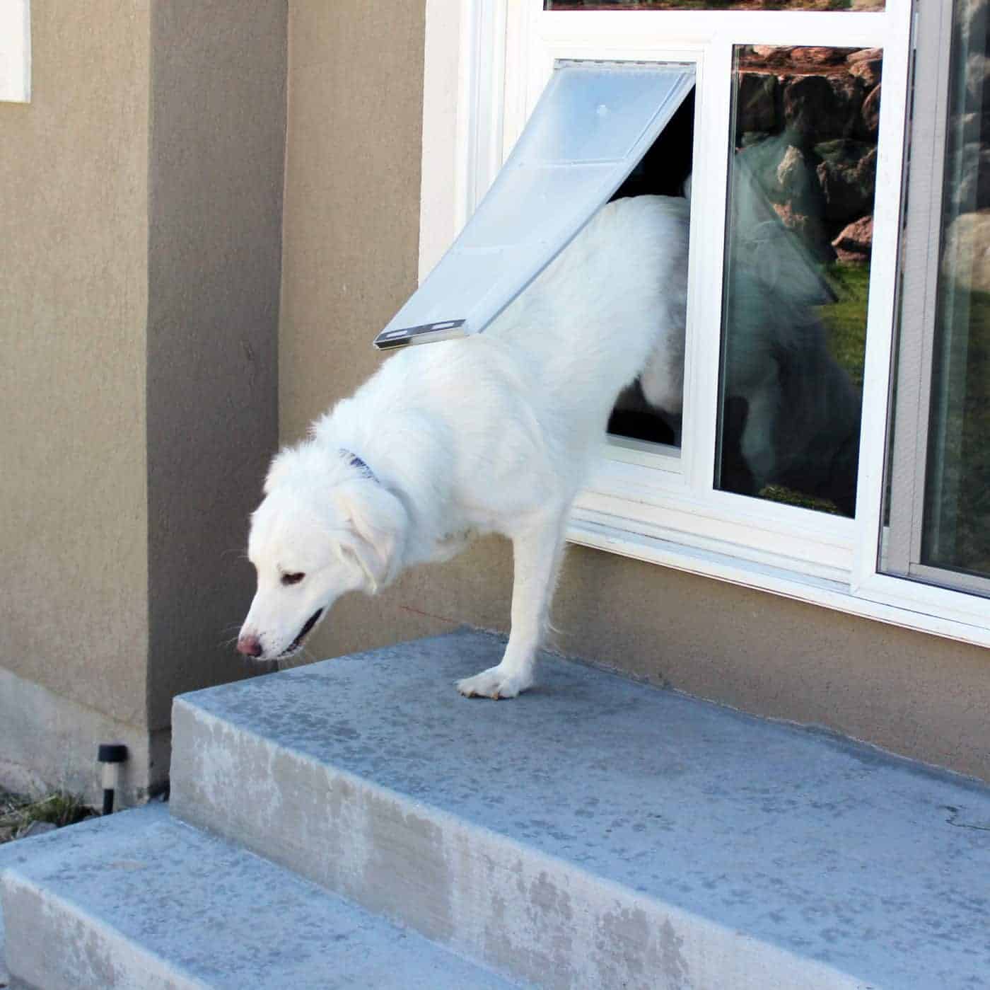 Dog Door for Slider French Door with Dog Door Sliding Glass Dog