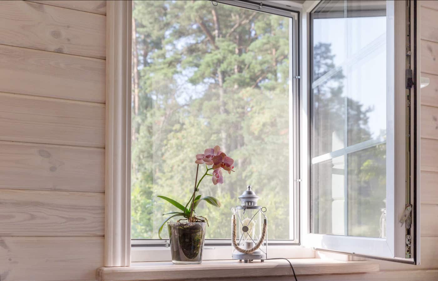 A window in a wooden cabin with a flower in a vase, protected by solar screens.