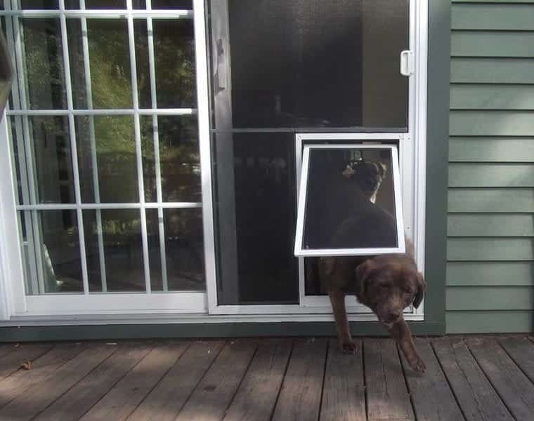 InDoor Pet Doors Door with Dog Door Installed Near You The Glass Guru