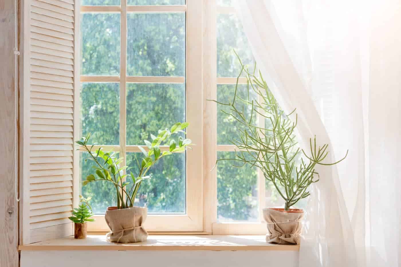 Two potted plants on a window sill in need of repair.