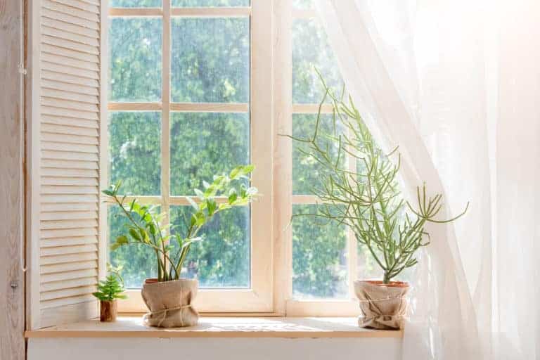 Two potted plants on a window sill in need of repair.