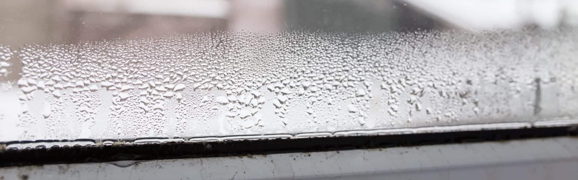 The Best Auto Glass Cleaner Options for Streak-Free Windows in 2024 - Bob  Vila