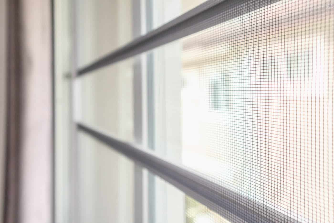 A close up of a window with a screen on it, highlighting the presence of screens.