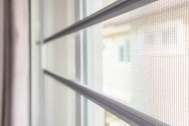 A close up of a window with a screen on it, highlighting the presence of screens.
