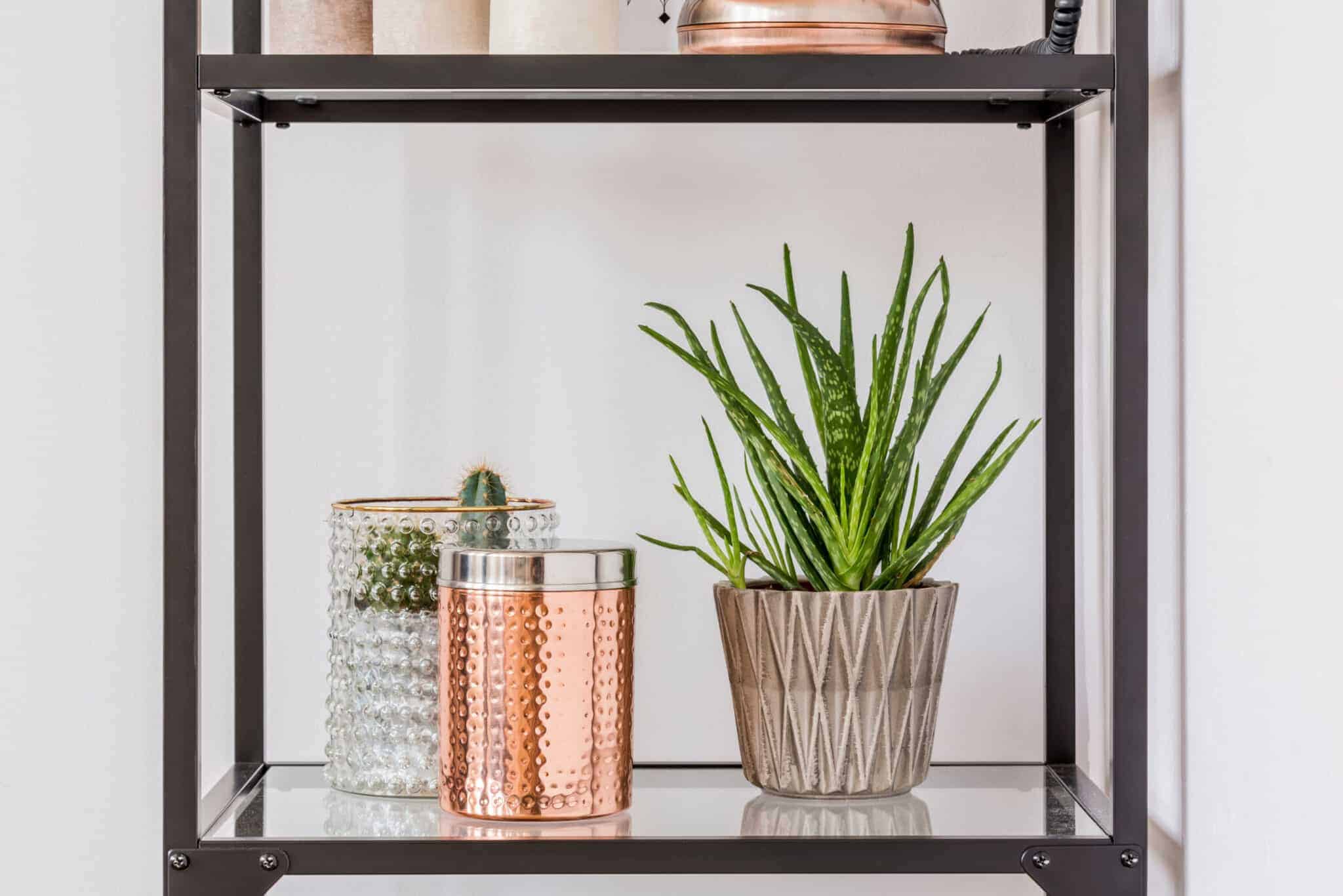 glass shelving with metal 