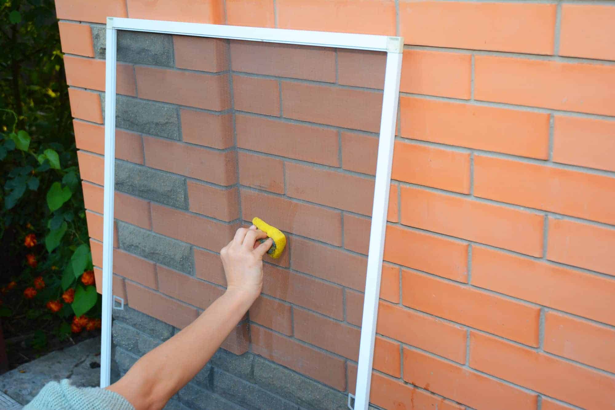 How to Clean Your Window Screens - The Glass Guru
