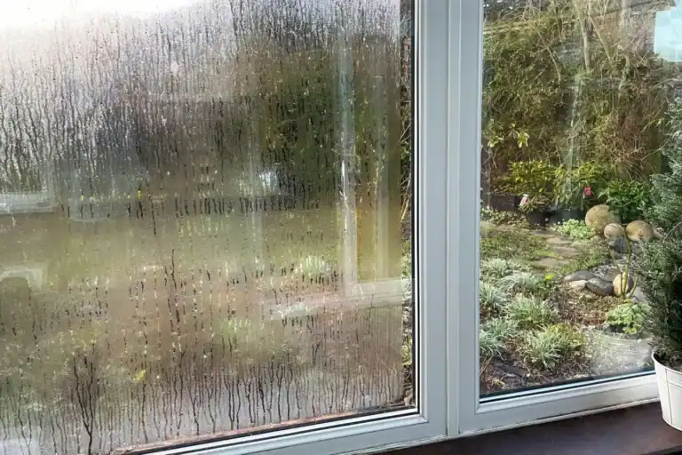 Clearing the View: Expert Solutions for Foggy Windows