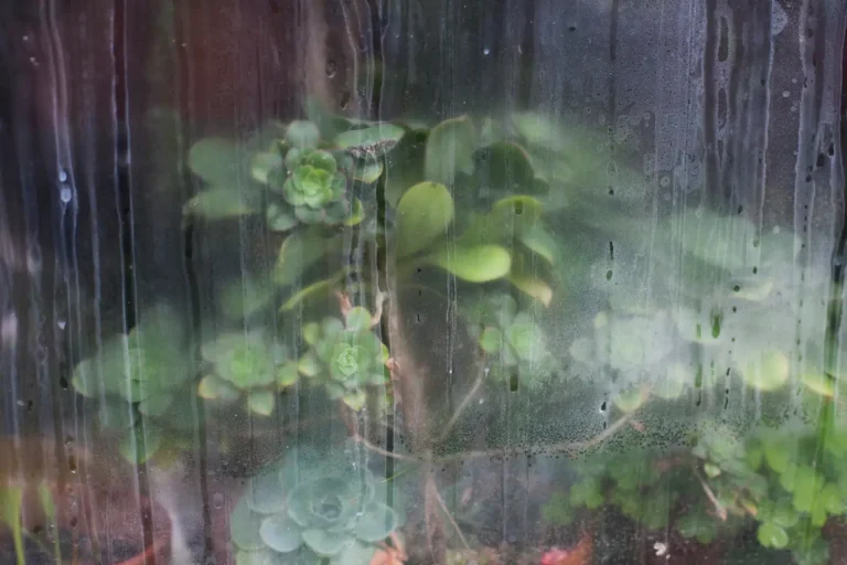 How to Solve the Mystery of Foggy Windows: A Guide from The Glass Guru